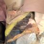 Bag of sewing bits Image 3