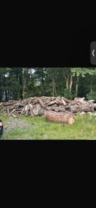 timber for sale