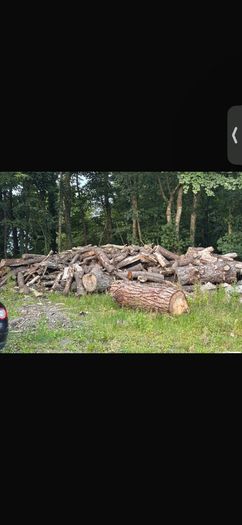timber for sale