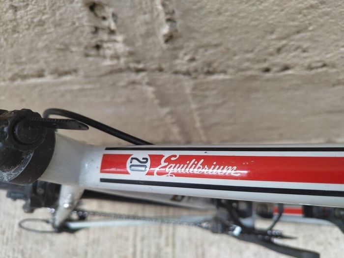 Road Bike - Genesis Equilibrium