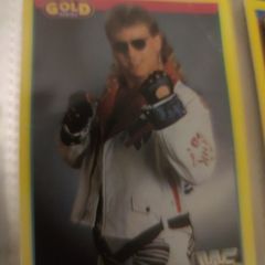 Shawn Michaels HBK Rookie Card RC - Merlin WWF Series 2 1992