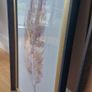 Framed Leaf Prints Image 2