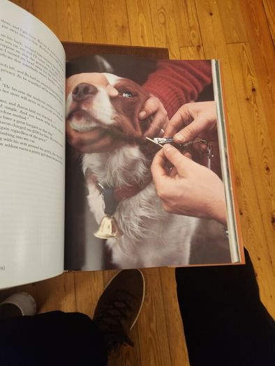 Just Dogs. A Literary & Photographic Tribute To The Great Hunting Breeds. First Edition Large Volume Hardback With Dustjacket In Very Good Condition. 36.