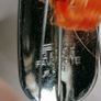 Abu Garcia Favourite Fishing Lure. Image 3