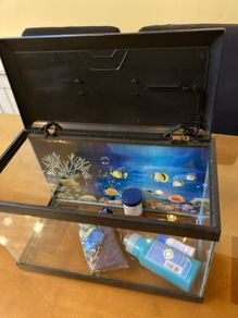 fish tank