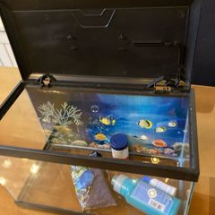 fish tank