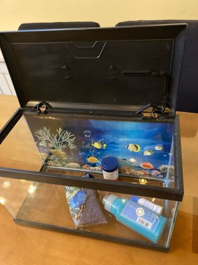fish tank