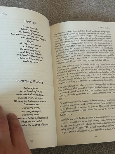 Cardinal Feathers by Diane Simon