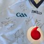 Signed 2010 Dublin gaa jersey Image 8