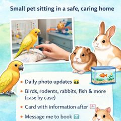 Critter Sitter