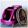 Basketball or Rugby Sports Chairs Image 7