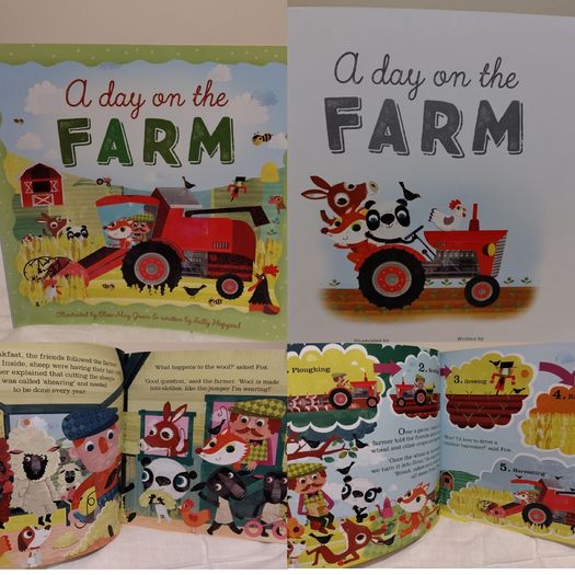 A Day On The Farm Story Book