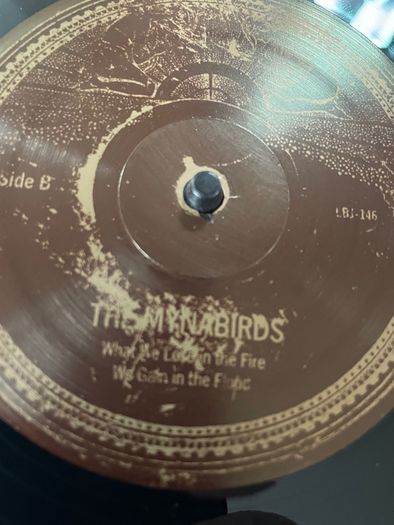 The Mynabirds - What We Lose In The Fire We Gain In The Flood