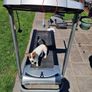 Treadmill & Cross trainer Image 2