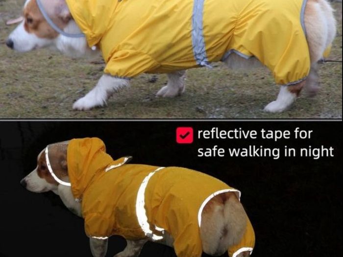 Dog Raincoat Waterproof Jacket with Hood & Collar Hole Transparent Brim,Ultra-Light Breathable Reflective Jumpsuit for Short-legged Dogs Corgi Dachshund xs,s,m,L,XL