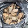 Decorative pebbles for garden Image 8