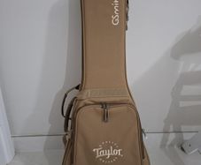 taylor gs mini gigbag