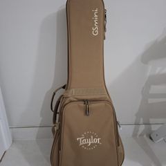 taylor gs mini gigbag