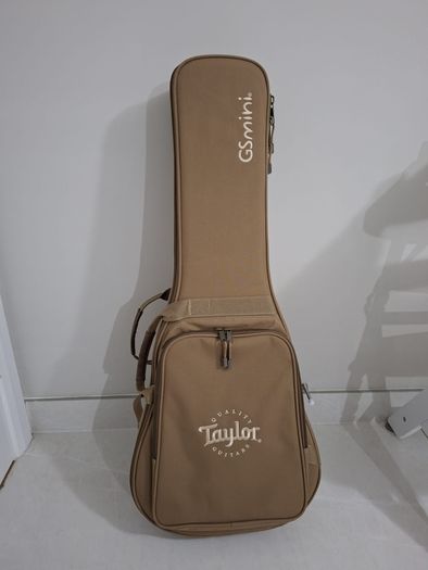 taylor gs mini gigbag