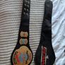 WWE ECW World Wrestling Champion Belt Image 2