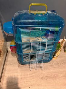hamster setup