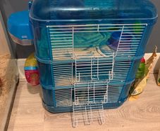 hamster setup