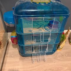hamster setup