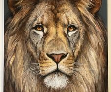 Original Lion Painting