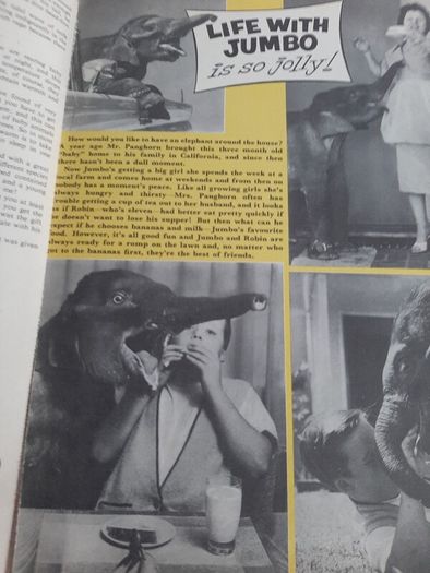 Vintage June annual from 1963