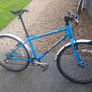 Adults Bike Image 2