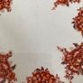 Price drop Rare Antique Tuscan china  Tea set Image 10