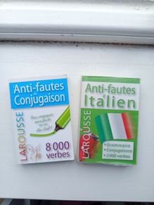French Italian mini Grammar Verbs Basic Phrases Books