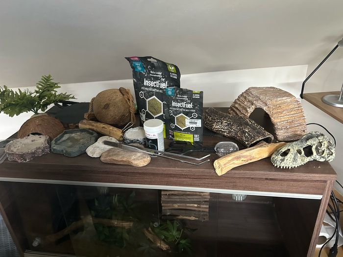 Gecko Enclosure