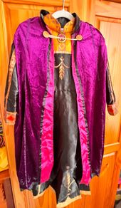 Disney Anna costume