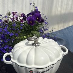 Le Creuset Pumpkin Casserole 24cm 3.8L Cotton Matte Cast iron
