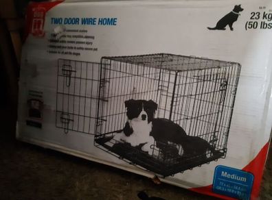 medium dog create