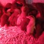 Chicks & Ducklings Image 3