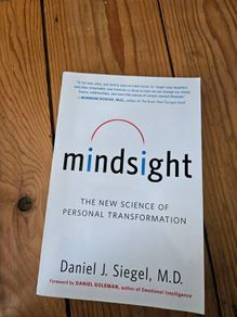 Mindsight Book
