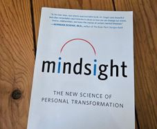 Mindsight Book