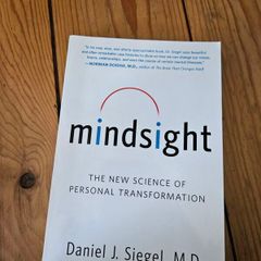 Mindsight Book