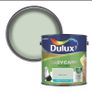 Dulux Paint Image 4
