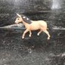 Schleich horses x 11 Image 3