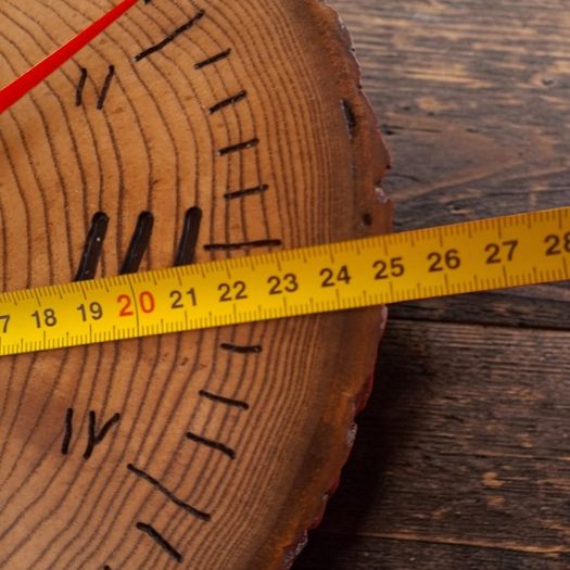 Handmade Wooden Clock Natural Wood Slice Silent Movement