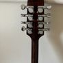 Irish Bouzouki Image 4