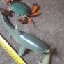 sea animal bundle Image 3
