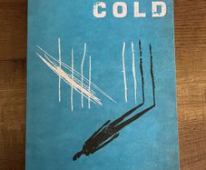 Robert Swindells - Stone Cold