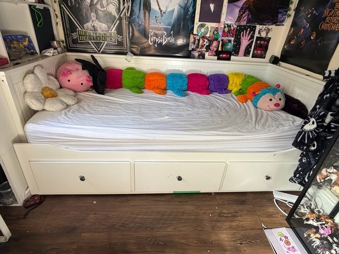 pull out bed