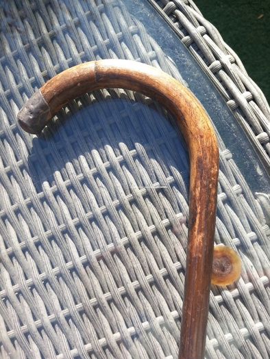 Stamped silver tipped walking stick, D18