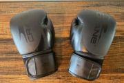 Crane 10oz Boxing Gloves | PU Leather Training &amp; Fitness Gloves