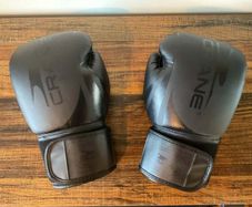 Crane 10oz Boxing Gloves | PU Leather Training & Fitness Gloves